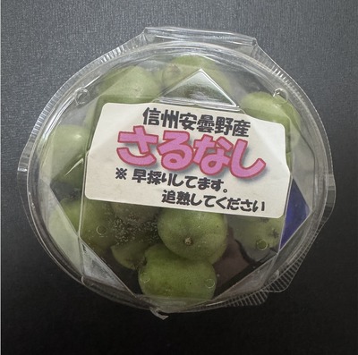 スクリーンショット 2025-10-13 8.44.42.jpg